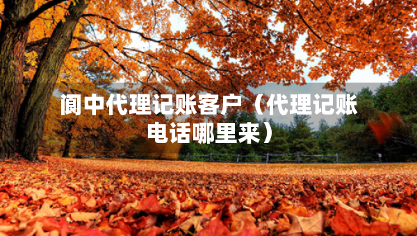 閬中代理記賬客戶（代理記賬電話哪里來）