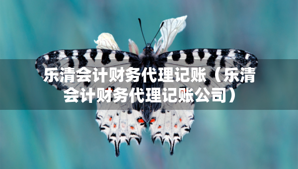 樂清會計財務代理記賬（樂清會計財務代理記賬公司）