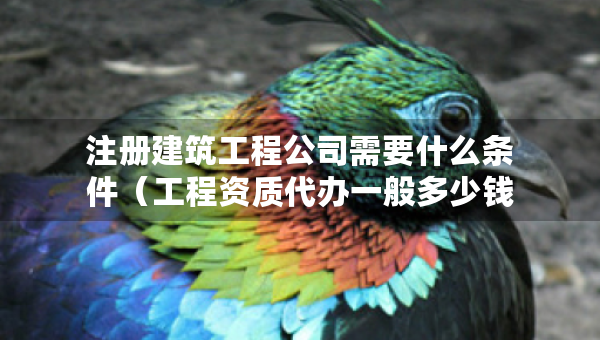 注冊(cè)建筑工程公司需要什么條件（工程資質(zhì)代辦一般多少錢）