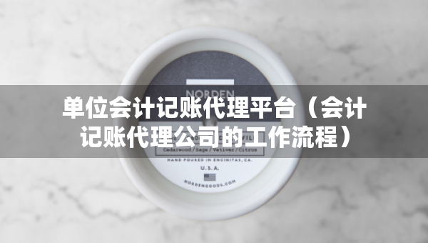 單位會(huì)計(jì)記賬代理平臺(tái)（會(huì)計(jì)記賬代理公司的工作流程）