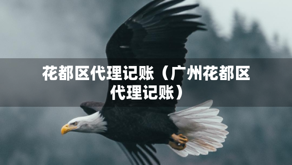 花都區(qū)代理記賬（廣州花都區(qū)代理記賬）