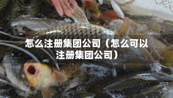 怎么注冊(cè)集團(tuán)公司（怎么可以注冊(cè)集團(tuán)公司）