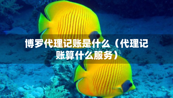 博羅代理記賬是什么（代理記賬算什么服務(wù)）