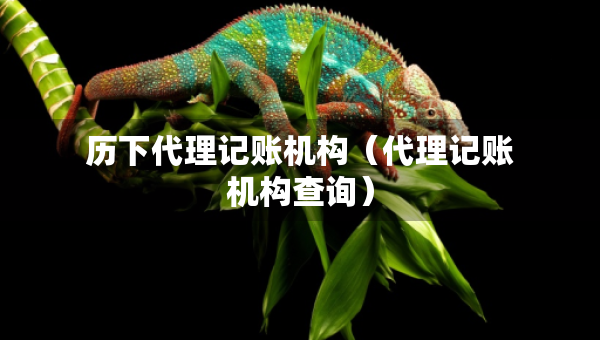 歷下代理記賬機(jī)構(gòu)（代理記賬機(jī)構(gòu)查詢）