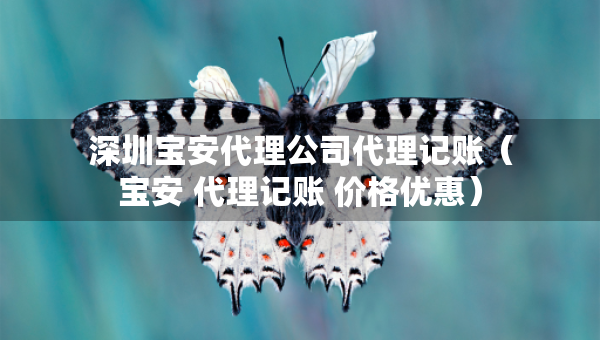 深圳寶安代理公司代理記賬（寶安 代理記賬 價格優(yōu)惠）