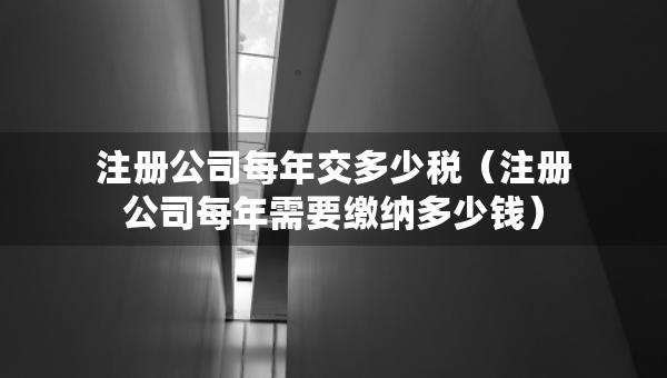 注冊公司每年交多少稅（注冊公司每年需要繳納多少錢）