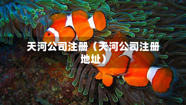 天河公司注冊（天河公司注冊地址）