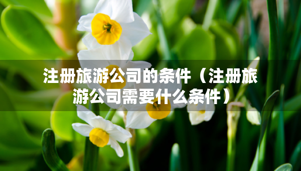 注冊旅游公司的條件（注冊旅游公司需要什么條件）