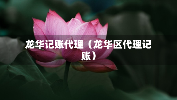 龍華記賬代理（龍華區(qū)代理記賬）