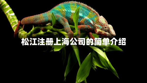 松江注冊(cè)上海公司的簡(jiǎn)單介紹