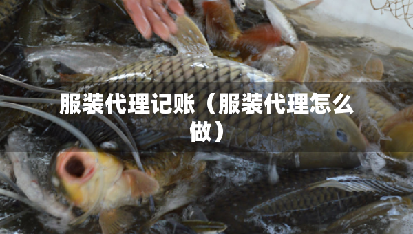 服裝代理記賬（服裝代理怎么做）