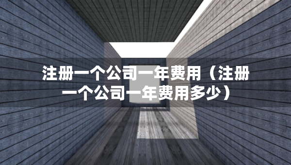 注冊一個公司一年費(fèi)用（注冊一個公司一年費(fèi)用多少）