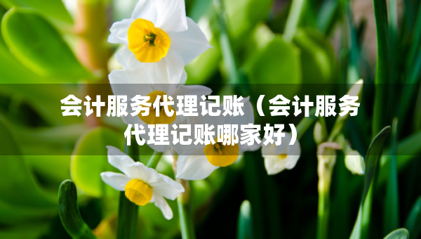 會(huì)計(jì)服務(wù)代理記賬（會(huì)計(jì)服務(wù)代理記賬哪家好）