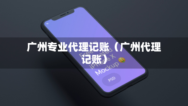廣州專業(yè)代理記賬（廣州代理記賬）