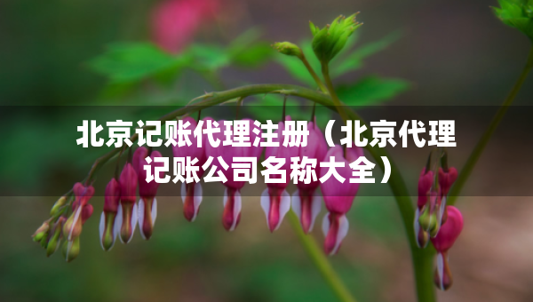 北京記賬代理注冊（北京代理記賬公司名稱大全）