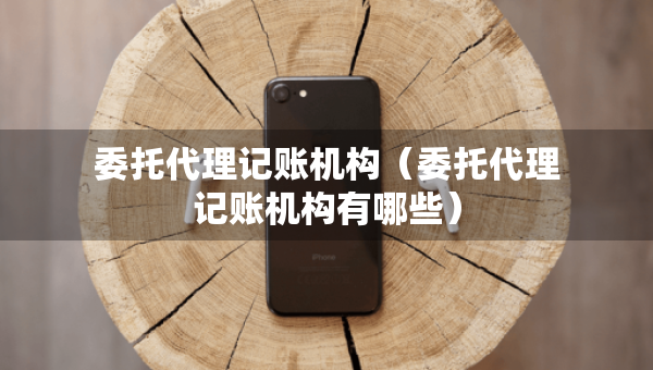 委托代理記賬機構(gòu)（委托代理記賬機構(gòu)有哪些）