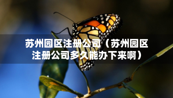 蘇州園區(qū)注冊(cè)公司（蘇州園區(qū)注冊(cè)公司多久能辦下來?。? />		 </a>
		</div>
		
	<div   id=