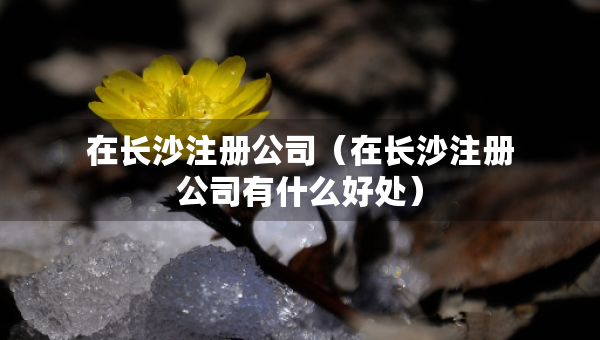 在長(zhǎng)沙注冊(cè)公司（在長(zhǎng)沙注冊(cè)公司有什么好處）