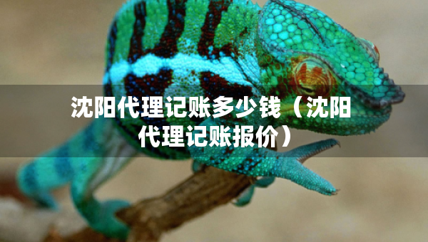 沈陽(yáng)代理記賬多少錢（沈陽(yáng) 代理記賬報(bào)價(jià)）