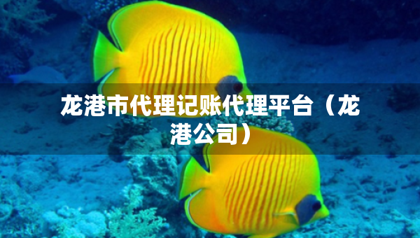 龍港市代理記賬代理平臺（龍港公司）