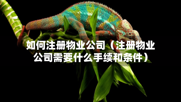 如何注冊(cè)物業(yè)公司（注冊(cè)物業(yè)公司需要什么手續(xù)和條件）