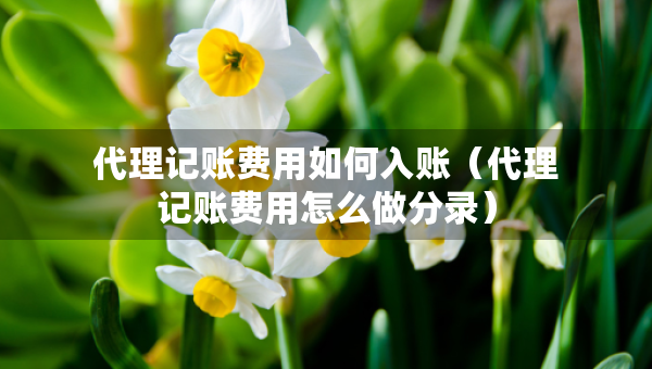 代理記賬費(fèi)用如何入賬（代理記賬費(fèi)用怎么做分錄）