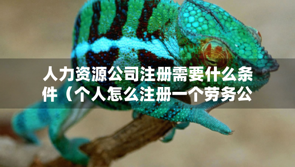 人力資源公司注冊需要什么條件（個人怎么注冊一個勞務(wù)公司）