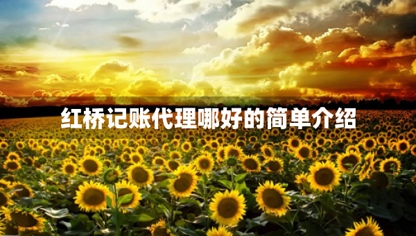 紅橋記賬代理哪好的簡單介紹