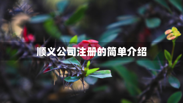 順義公司注冊(cè)的簡(jiǎn)單介紹