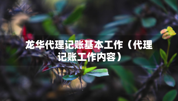 龍華代理記賬基本工作（代理記賬工作內(nèi)容）