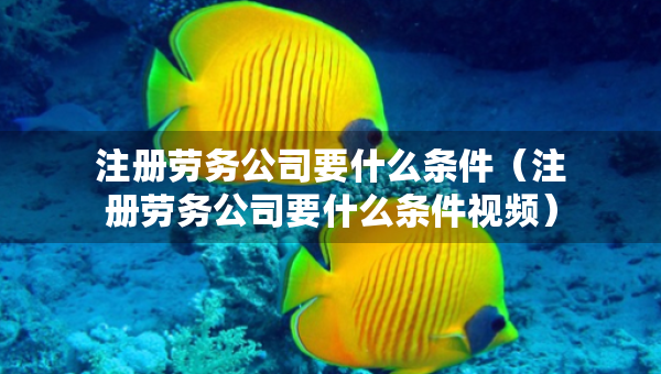 注冊勞務(wù)公司要什么條件（注冊勞務(wù)公司要什么條件視頻）