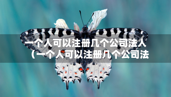 一個(gè)人可以注冊(cè)幾個(gè)公司法人（一個(gè)人可以注冊(cè)幾個(gè)公司法人嗎）