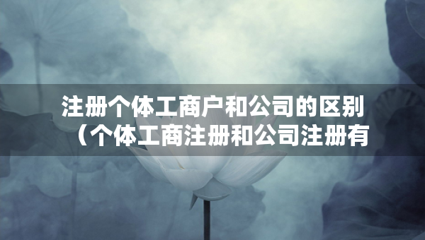 注冊個體工商戶和公司的區(qū)別（個體工商注冊和公司注冊有什么區(qū)別）