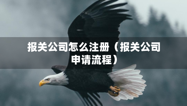 報(bào)關(guān)公司怎么注冊（報(bào)關(guān)公司申請流程）