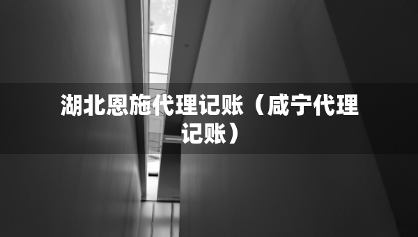 湖北恩施代理記賬（咸寧代理記賬）