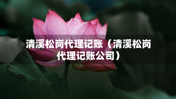清溪松崗代理記賬（清溪松崗代理記賬公司）