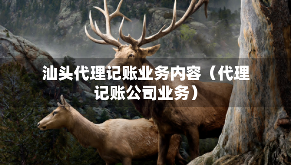 汕頭代理記賬業(yè)務(wù)內(nèi)容（代理記賬公司業(yè)務(wù)）