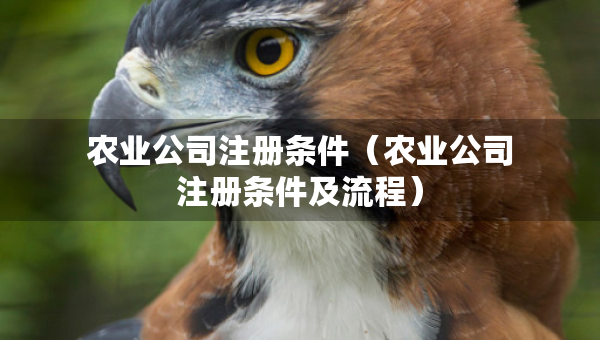 農(nóng)業(yè)公司注冊(cè)條件（農(nóng)業(yè)公司注冊(cè)條件及流程）