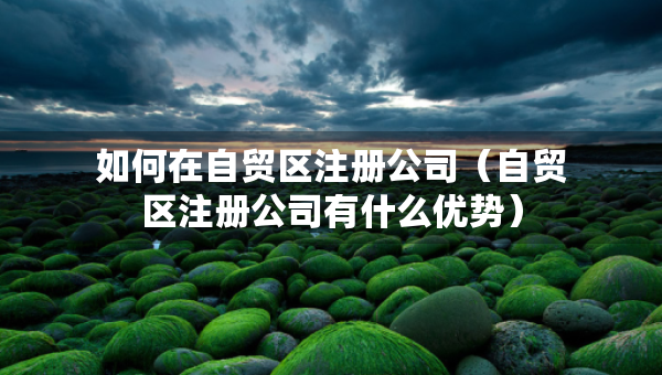 如何在自貿區(qū)注冊公司（自貿區(qū)注冊公司有什么優(yōu)勢）