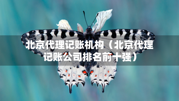 北京代理記賬機(jī)構(gòu)（北京代理記賬公司排名前十強(qiáng)）