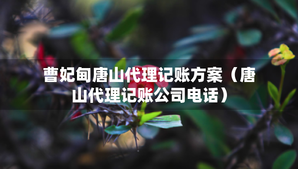 曹妃甸唐山代理記賬方案（唐山代理記賬公司電話）