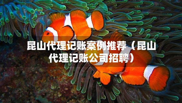 昆山代理記賬案例推薦（昆山代理記賬公司招聘）