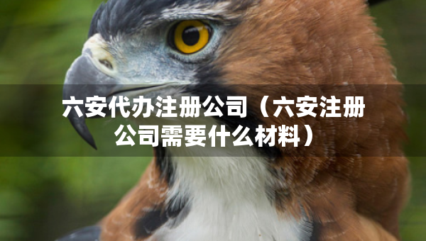 六安代辦注冊(cè)公司（六安注冊(cè)公司需要什么材料）