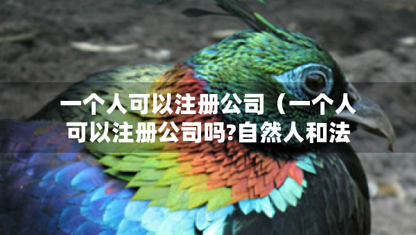 一個人可以注冊公司（一個人可以注冊公司嗎?自然人和法人有什么區(qū)別）