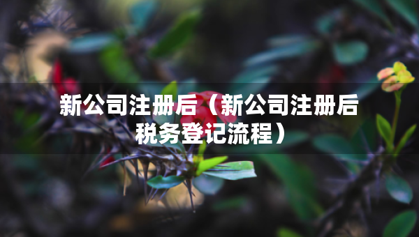 新公司注冊后（新公司注冊后稅務(wù)登記流程）