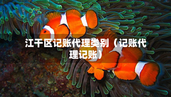 江干區(qū)記賬代理類別（記賬代理記賬）