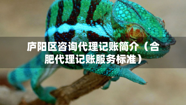 廬陽區(qū)咨詢代理記賬簡介（合肥代理記賬服務(wù)標(biāo)準(zhǔn)）