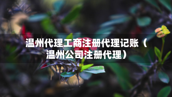 溫州代理工商注冊代理記賬（溫州公司注冊代理）