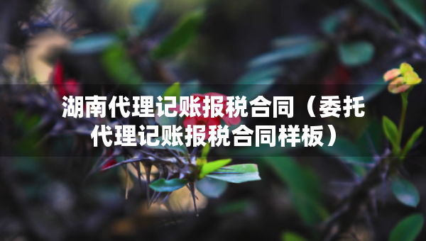 湖南代理記賬報(bào)稅合同（委托代理記賬報(bào)稅合同樣板）