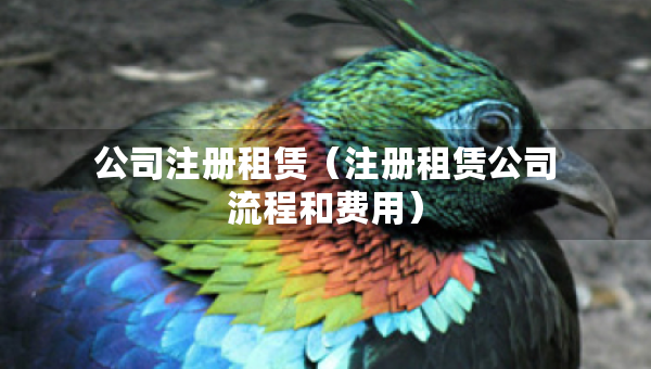 公司注冊租賃（注冊租賃公司流程和費用）